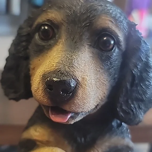 Beware of dog decor #homedecor